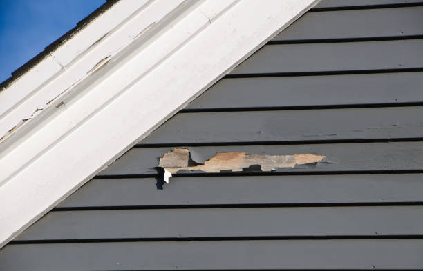 Best Construction Debris Removal  in Holly Ridge, NC